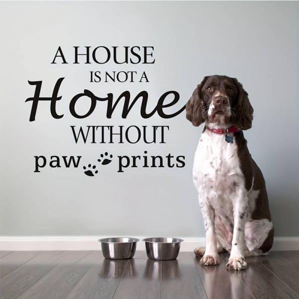 'A House Is Not A Home Without Paw Prints' Wall Decoration Decal