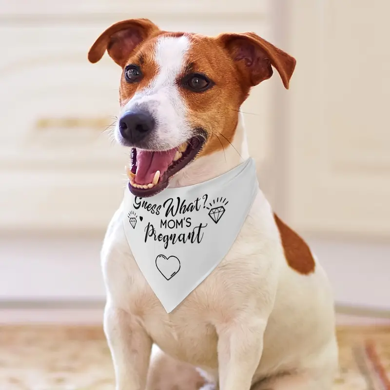 Guess What - Mom's Pregnant - White Polyester Pet Bandana