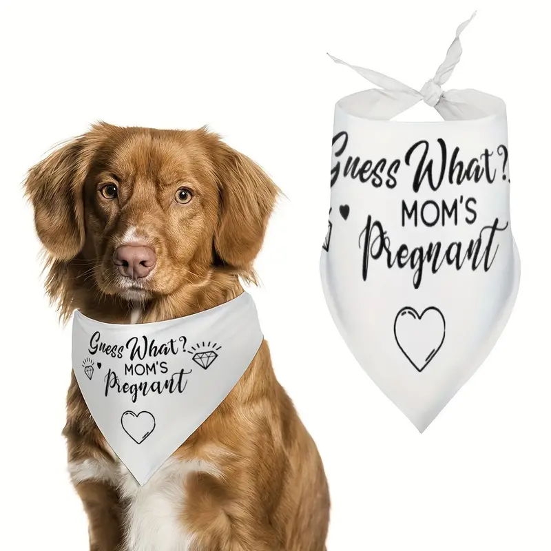 Guess What - Mom's Pregnant - White Polyester Pet Bandana