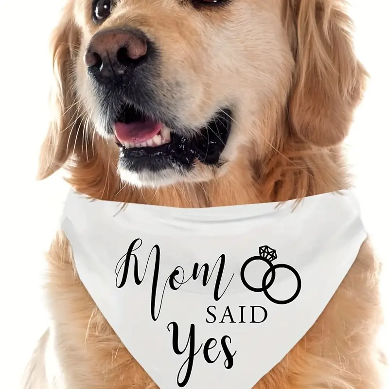 Mom Said Yes - White Pet Bandana