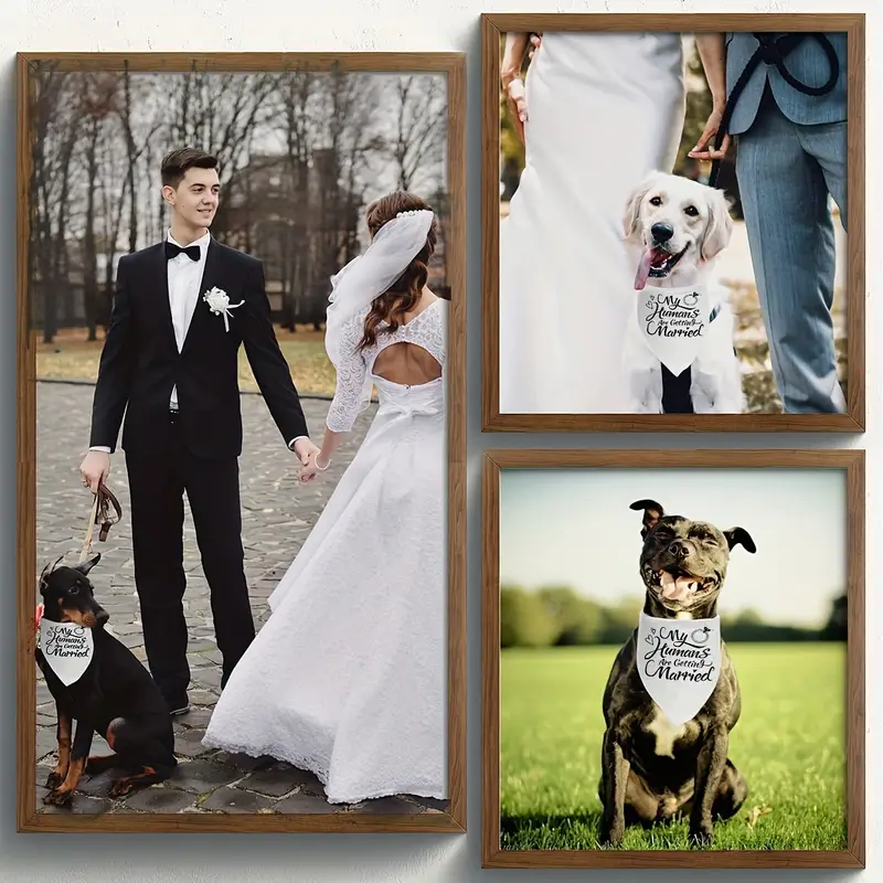 My Humans Are Getting Married - White Pet Bandana