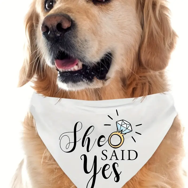 She Said Yes - White Pet Bandana