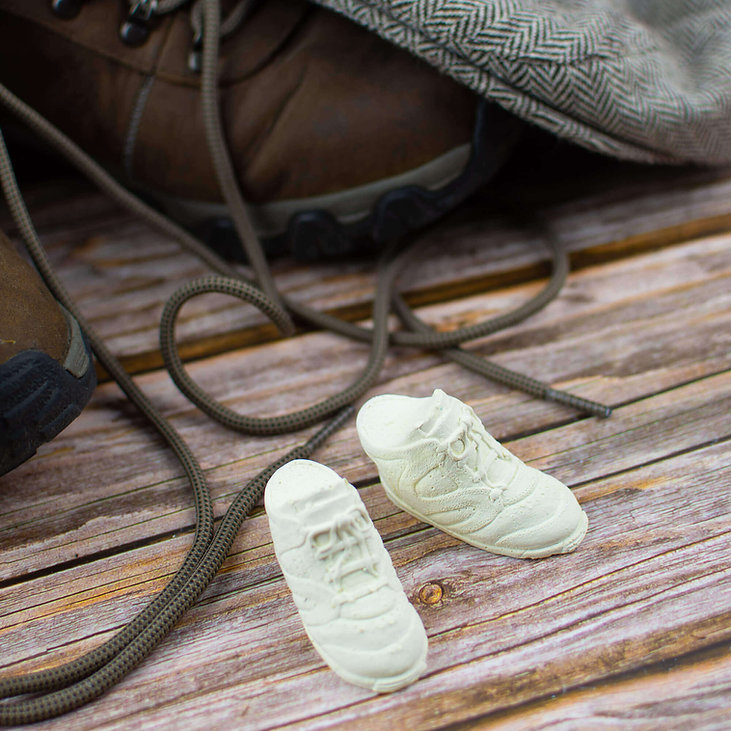 Stinky Feet - Shoe & Sport Bag Freshener - Lemongrass