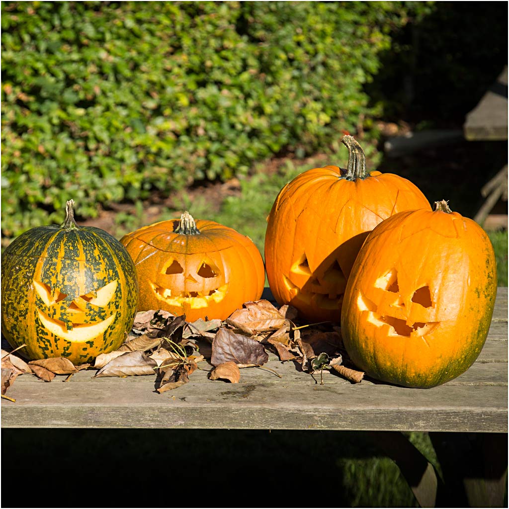 Halloween Pumpkin Carving Kit