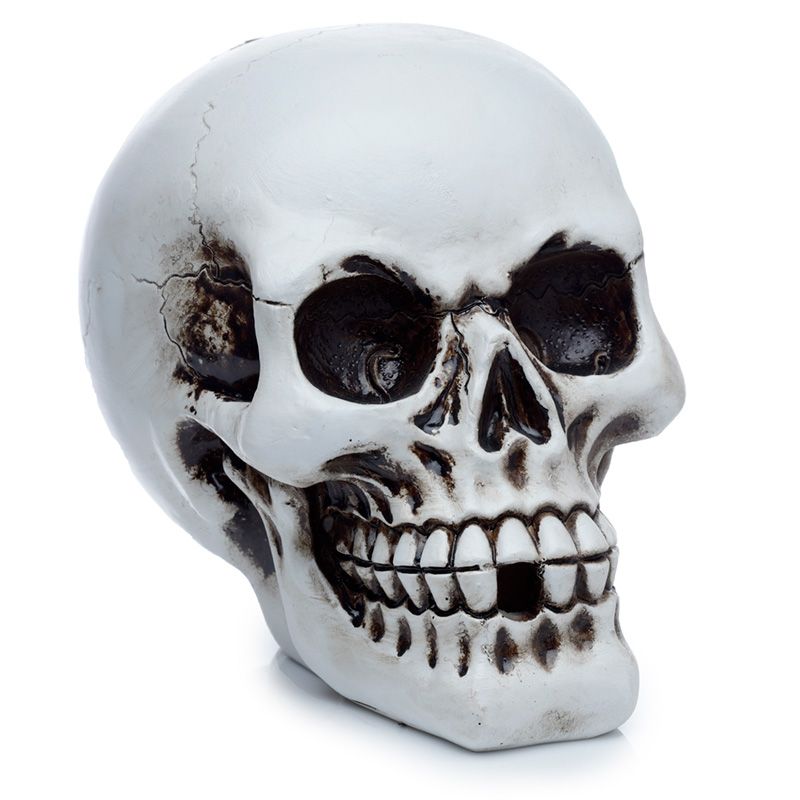 Skull Backflow Incense Burner