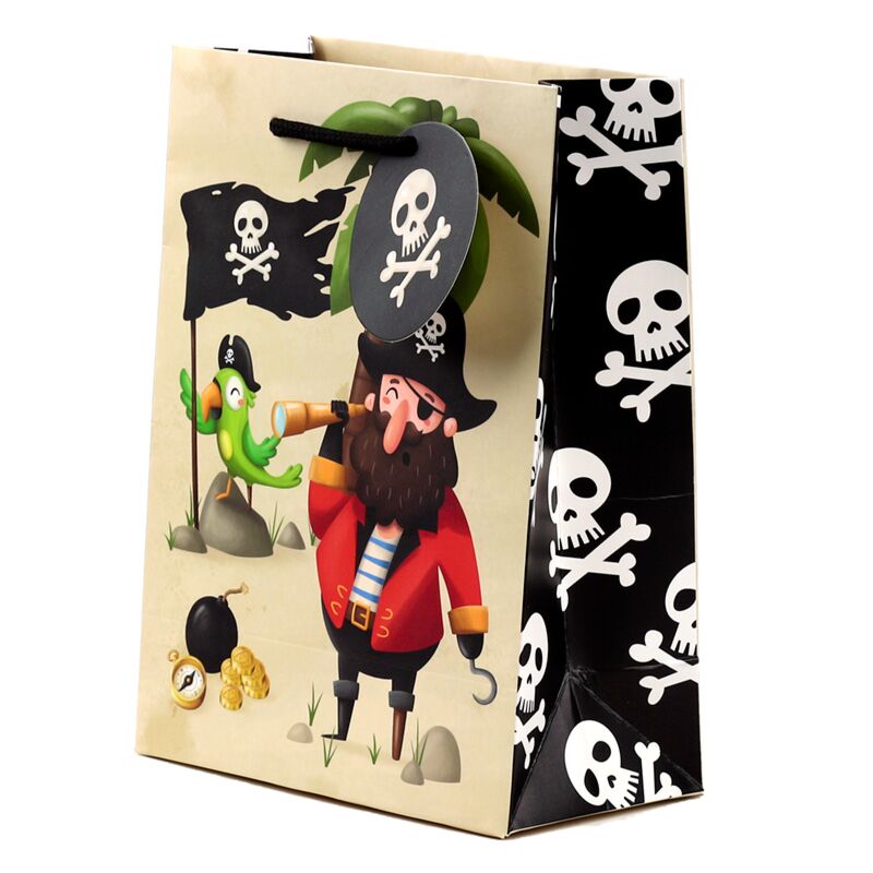 Jolly Rogers Pirates Gift Bag - Medium