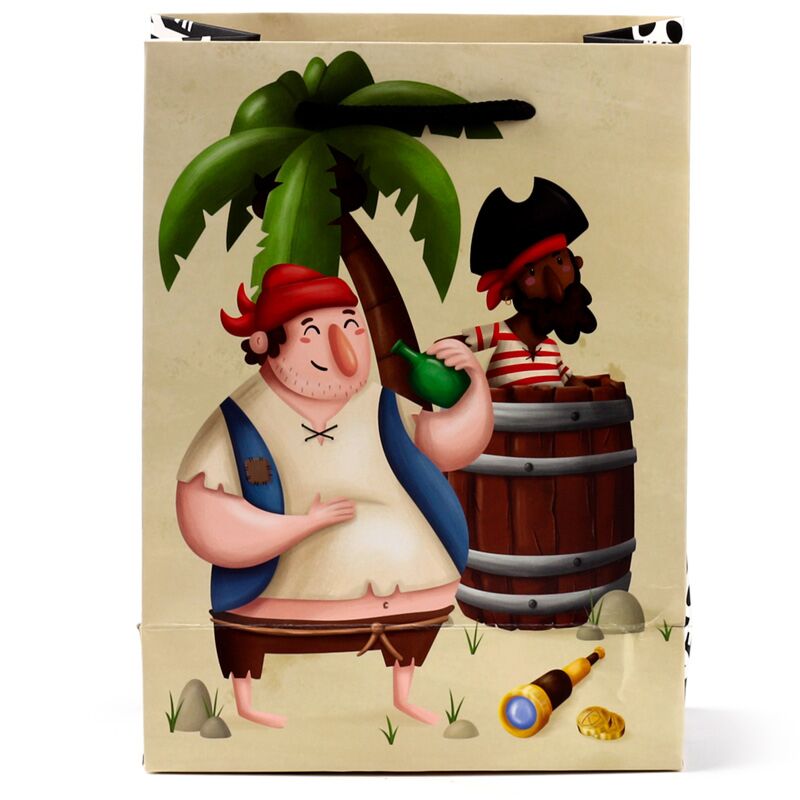 Jolly Rogers Pirates Gift Bag - Medium