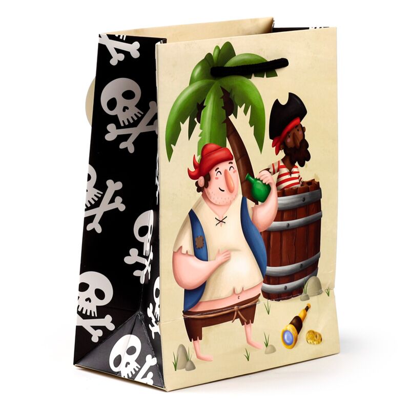 Jolly Rogers Pirates Gift Bag - Medium