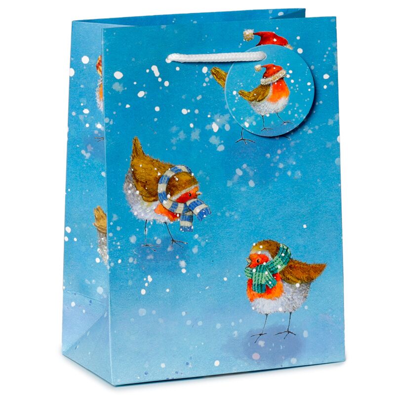 Jan Pashley Christmas Robin Gift Bag - Medium