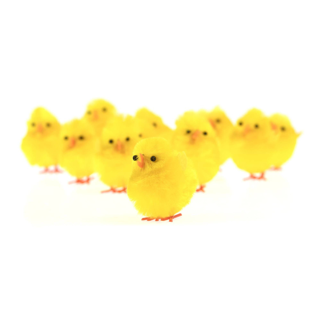 Mini Yellow Easter Chicks, Pk 12