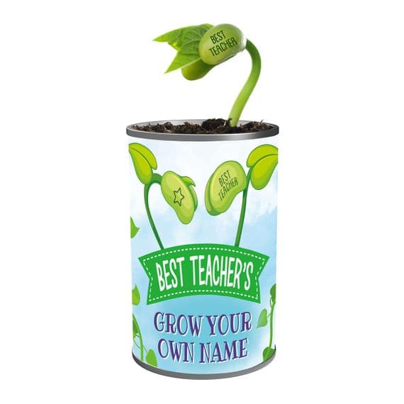 Grow Your Own Magic Bean - Best Teacher