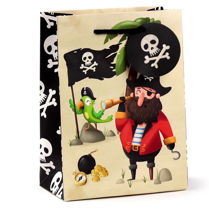 Jolly Rogers Pirates Gift Bag - Medium